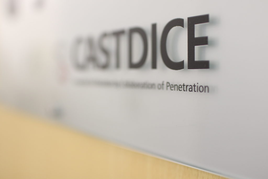 CASTDICEイメージ画像